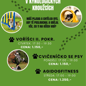 Volná místa v kynologických kroužcích