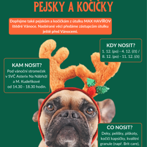 Dáreček pro opuštěné pejsky a kočičky. 